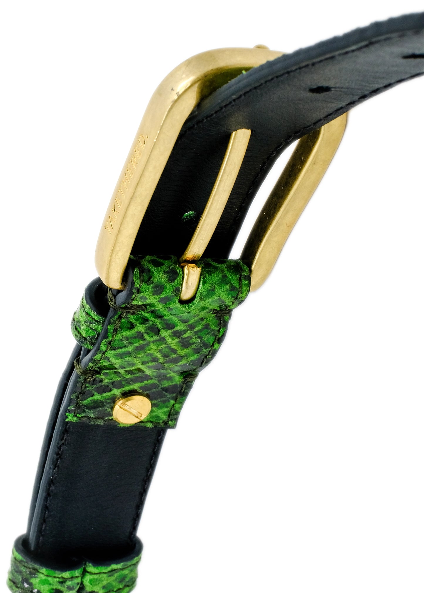 Macro view of the Atomic Green snakeskin belt, focusing on the gold buckle's top curve.