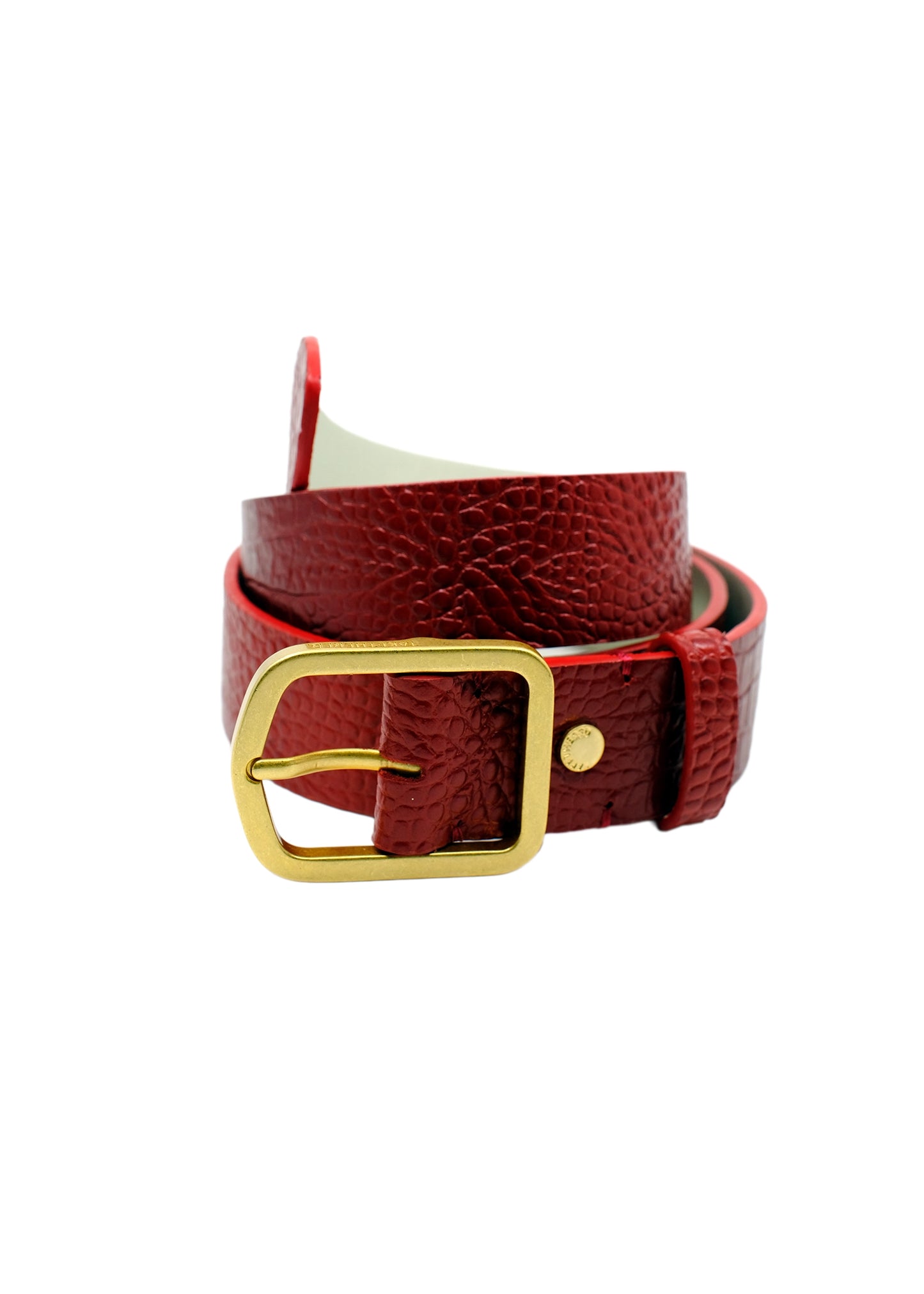 Coiled Dry Blood alligator embossed leather belt with a rectangular gold buckle, isolated on a white background.
