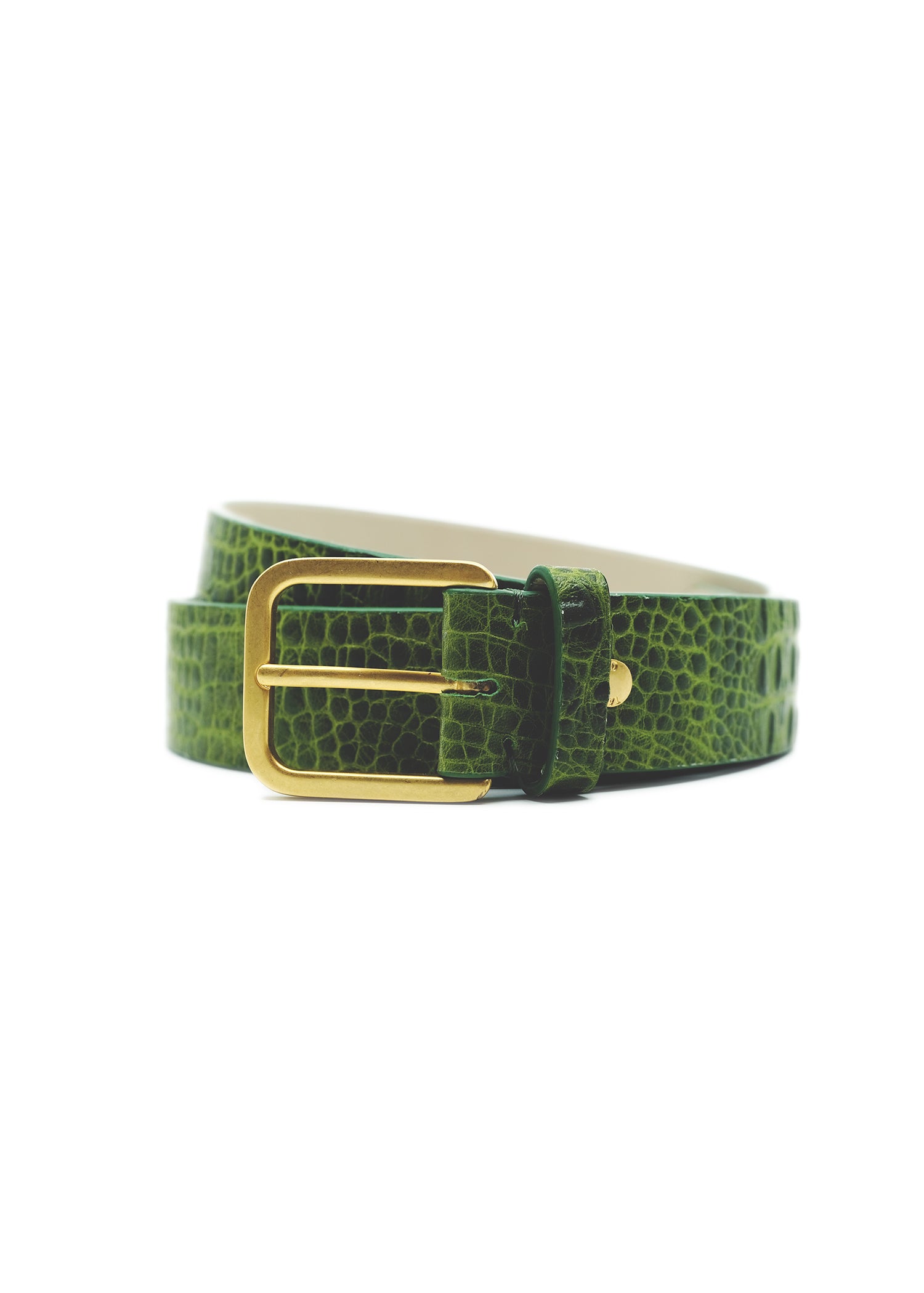 TEXTILE BELTS